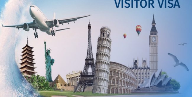 visitor